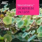 Neurostreams™ Morphium Jacuzzi (Fibromyalgie)