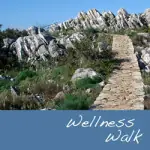 Neurostreams™ Wellness Walk